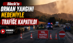 O KARAYOLU ORMAN YANGINI NEDENİYLE TRAFİĞE KAPATILDI, YAZ