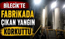 FABRİKADA ÇIKAN YANGIN KORKUTTU