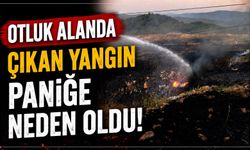 OTLUK ALANDA ÇIKAN YANGIN PANİĞE NEDEN OLDU