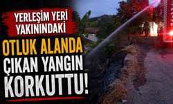 YERLEŞİM YERİ YAKININDAKİ OTLUK ALANDA ÇIKAN YANGIN KORKUTTU