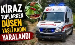 KİRAZ TOPLARKEN DÜŞEN YAŞLI KADIN YARALANDI