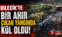 BİLECİK'TE BİR AHIR ÇIKAN YANGINDA KÜL OLDU