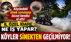 KÖYÜNDEKİ SİNEK SORUNUNA BİZZAT KENDİSİ EL ATTI