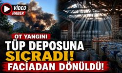 BİLECİK'TE OT YANGINI DEPOYA SIÇRADI, FACİADAN DÖNÜLDÜ