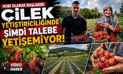 HOBİ OLARAK 2 DÖNÜMDE BAŞLADI, ÜRETİMİ ŞİMDİ 42 DÖNÜME ÇIKTI