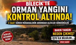 BİLECİK’TEKİ ORMAN YANGINI 3 SAATİN ARDINDAN KONTROL ALTINA ALINDI