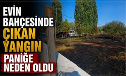 EVİN BAHÇESİNDE ÇIKAN YANGIN PANİĞE NEDEN OLDU