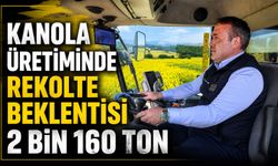 KANOLA ÜRETİMİNDE REKOLTE BEKLENTİSİ 2 BİN 160 TON