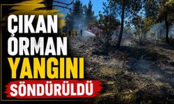BİLECİK'TE ORMAN YANGINI ÇIKTI