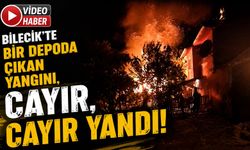 DEPODA ÇIKAN YANGIN KORKUTTU