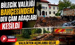 BİLECİK VALİLİĞİ BAHÇESİNDEKİ DEV ÇAM AĞAÇLARI KESİLDİ