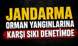 BİÇERDÖVERLER JANDARMA DENETİMİNDEN GEÇTİ