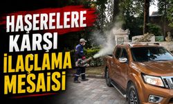 HAŞERELERE KARŞI İLAÇLAMA MESAİSİ
