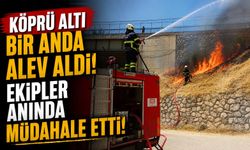 HAMSU KÖPRÜSÜ’NDE ÇIKAN YANGIN SÖNDÜRÜLDÜ
