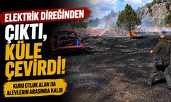 ELEKTRİK DİREĞİNDEN KAYNAKLI YANGIN 3 DÖNÜMLÜK ALANI KÜLE ÇEVİRDİ