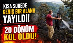 20 DÖNÜMLÜK ALANDA KORKUTAN YANGIN