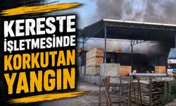 KERESTE İŞLETMESİNDE KORKUTAN YANGIN