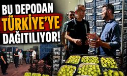 SOĞUK HAVA DEPOSUNDA İNCELEME