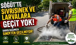 BİLECİK'TE SİVRİSİNEK VE LARVALARA GEÇİT YOK