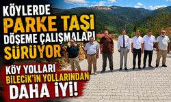 KÖYLERDE PARKE TAŞI DÖŞEME ÇALIŞMALARI SÜRÜYOR