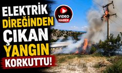 ELEKTRİK DİREĞİNDEN ÇIKAN YANGIN KORKUTTU