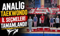ANALİG TAEKWONDO İL SEÇMELERİ TAMAMLANDI