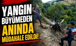 AĞAÇ YANGINI KORKUTTU
