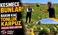 BİLECİK'TE 62 BİN TONLUK KARPUZ HASADI BEKLENİYOR