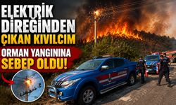 ELEKTRİK DİREĞİNDEN ÇIKAN KIVILCIM ORMAN YANGININA SEBEP OLDU