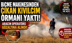 BİÇME MAKİNESİNDEN ÇIKAN KIVILCIM ORMANI YAKTI, ARACIN OPERATÖRÜ GÖZALTINA ALINDI