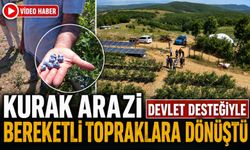 KURAK ARAZİ DEVLET DESTEĞİYLE BEREKETLİ TOPRAKLARA DÖNÜŞTÜ