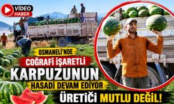 MEVSİMLİK İŞÇİLERİN KARPUZ MESAİSİ