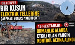BİLECİK'TEKİ ORMAN YANGINI KONTROL ALTINA ALINDI