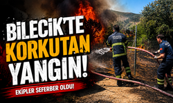 OTLUK ALANDAKİ YANGIN ORMANA SIÇRAMADAN SÖNDÜRÜLDÜ