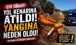 YOL KENARINA ATILAN SİGARA İZMARİTİ YANGINA NEDEN OLDU