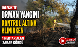 BİLECİK'TE ORMAN YANGINI KONTROL ALTINA ALINIRKEN, 1 HEKTAR ALAN ZARAR GÖRDÜ