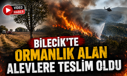 ORMANLIK ALANDAKİ YANGIN KONTROL ALTINA ALINDI