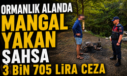 ORMANLIK ALANDA MANGAL YAKAN ŞAHSA 3 BİN 705 LİRA CEZA
