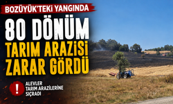 BOZÜYÜK'TEKİ YANGINDA 80 DÖNÜM TARIM ARAZİSİ ZARAR GÖRDÜ