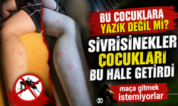 SİVRİSİNEKLER ÇOCUKLARI BU HALE GETİRDİ