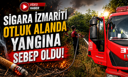 SİGARA İZMARİTİ OTLUK ALANDA YANGINA SEBEP OLDU