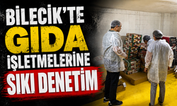 GIDA İŞLETMELERİNE SIKI DENETİM