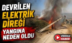 DEVRİLEN ELEKTRİK DİREĞİ YANGINA NEDEN OLDU