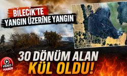 BİLECİK'TE ÇIKAN YANGINDA 30 DÖNÜMLÜK HASADI YAPILMIŞ BUĞDAY TARLASI KÜL OLDU