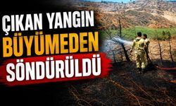 ZİRAAT ALANINDA ÇIKAN YANGIN BÜYÜMEDEN SÖNDÜRÜLDÜ
