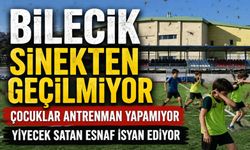 İSTASYON SENTETİK SAHA MEVKİİ SİNEKTEN GEÇİLMİYOR