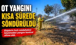 BİLECİK'TE OT YANGINI KORKUTTU