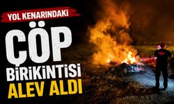 YOL KENARINDAKİ ÇÖP BİRİKİNTİSİ ALEV ALDI