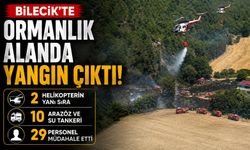 BİLECİK'TE ORMANLIK ALANDA YANGIN ÇIKTI