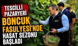 TESCİLLİ PAZARYERİ BONCUK FASULYESİ'NDE HASAT SEZONU BAŞLADI